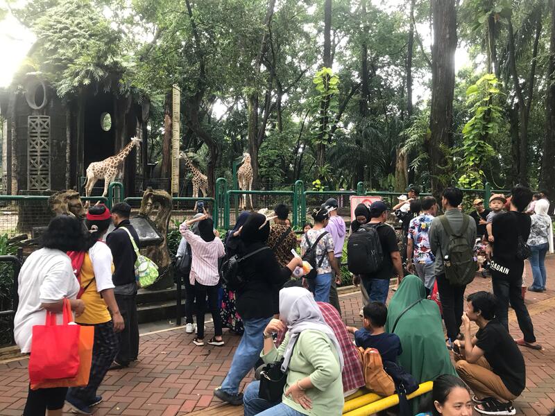 Ragunan